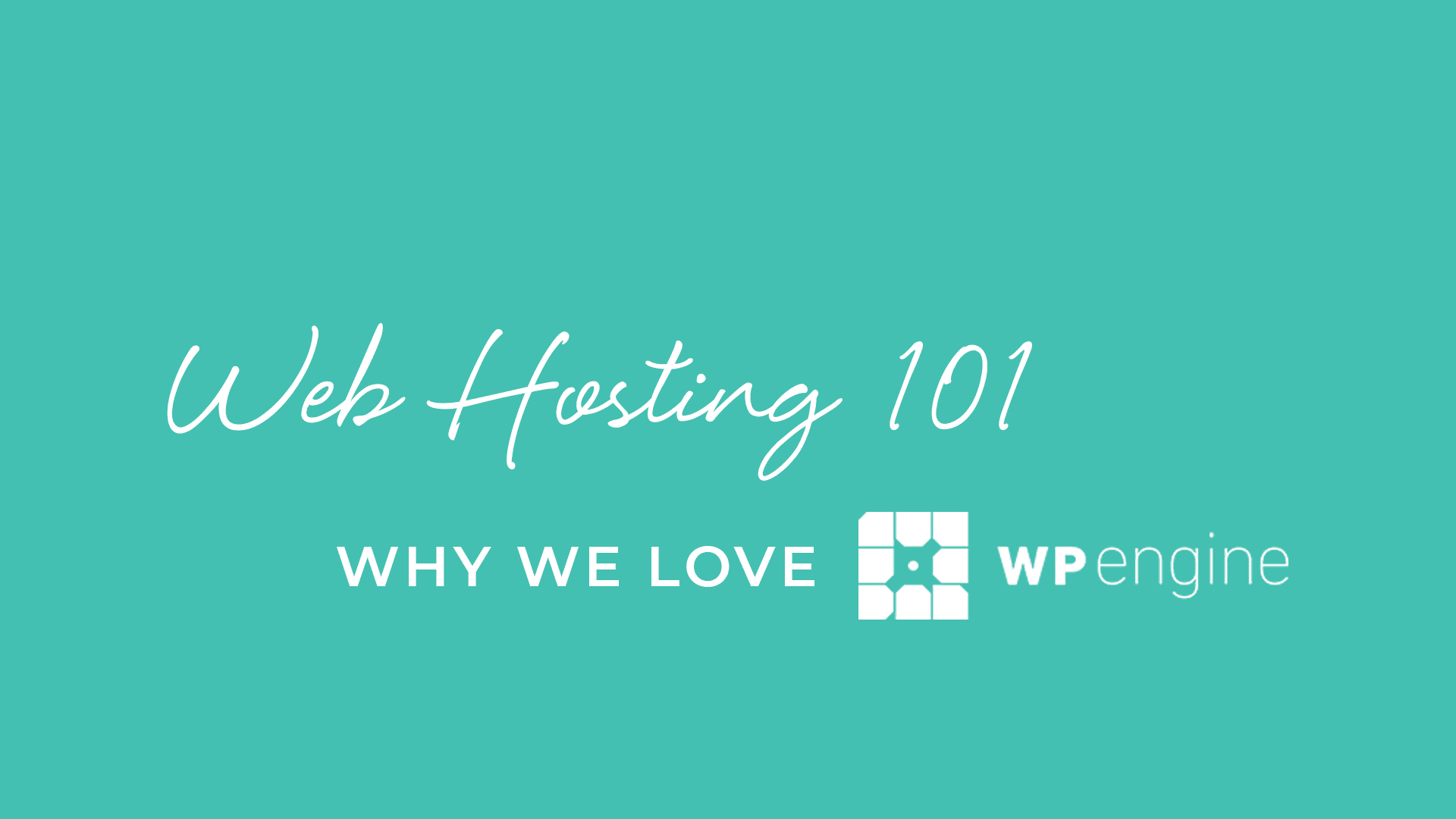 green color block Web Hosting 101 why we love WP Engine